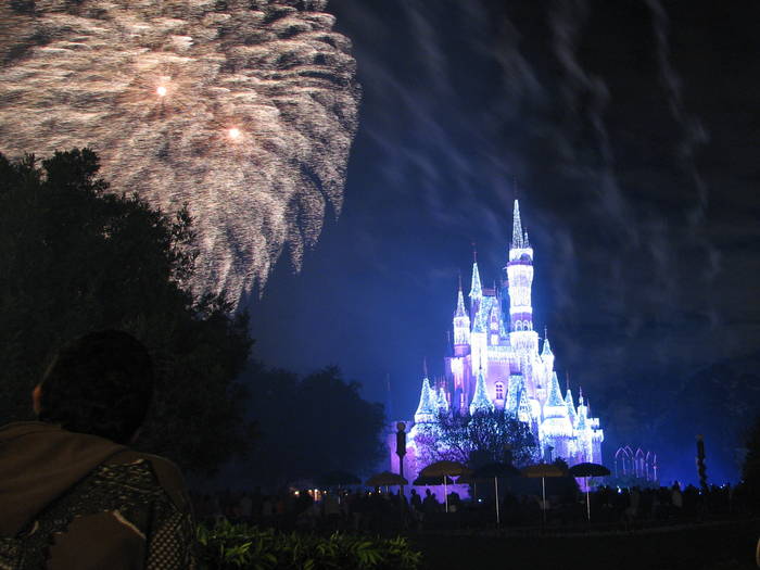 Cinderella_Castle_and_Wishes_3 - Diverse