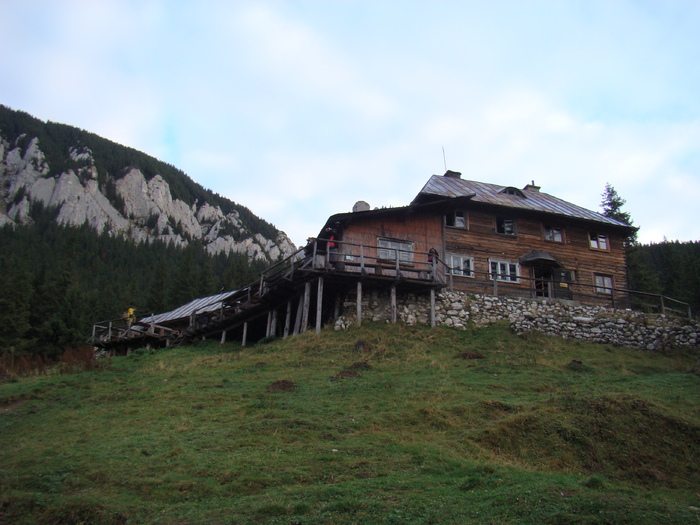 DSC04514 - Valea Crapaturii - Piatra Craiului