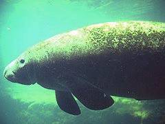 114 - poze muuuuuuuuuuuuuulte