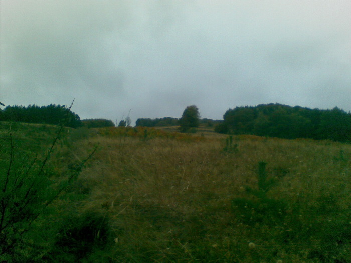 30092009(017) - vanatoare padure