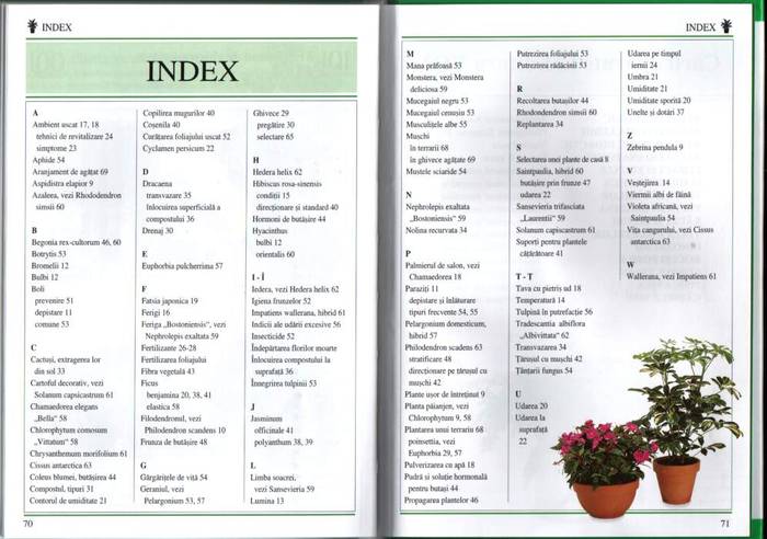 35 - informatii plante