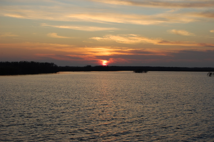 DSC_0092