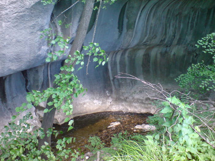 DSC01748