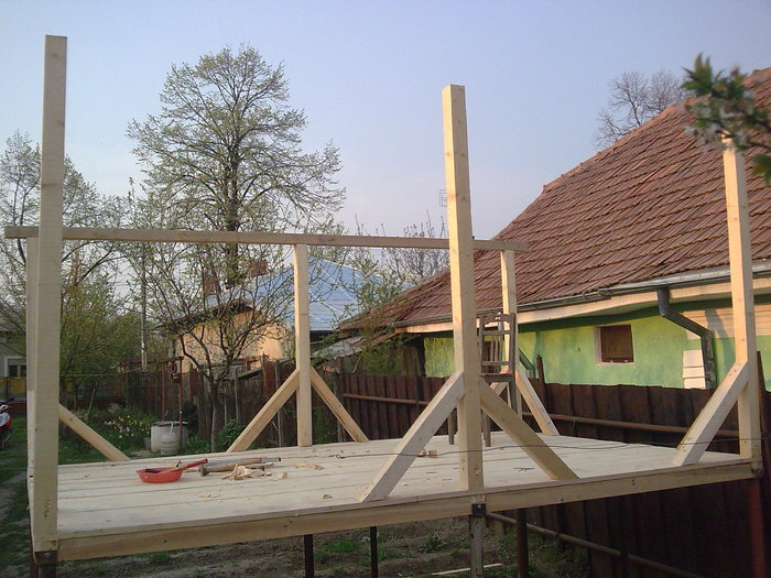 Imagine1 - Construirea Volierei 2009