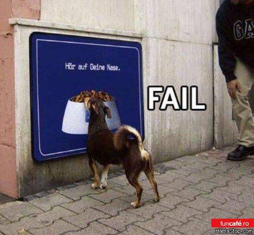 2863_fail_dog - Poze Haioase cu Animale