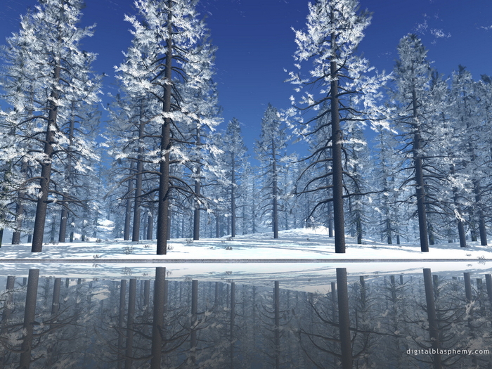 Christmas Wallpapers (633)