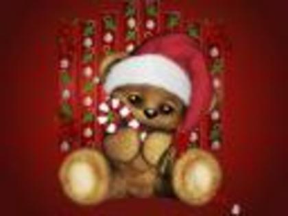 TN-BearyXmas - Poze de Craciun