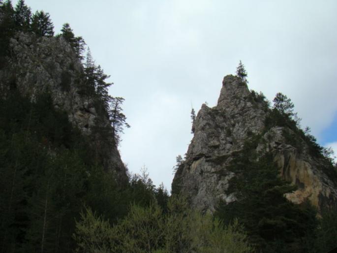 DSC03049