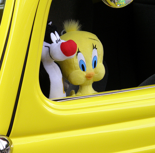 2705052100_d69f64e680 - Tweety