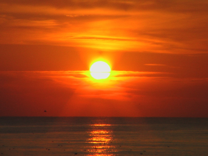 Apus Eforie Nord 2009