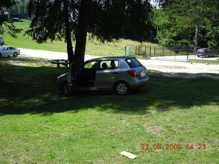 DSCN9343 - Sinaia 23 08 2009