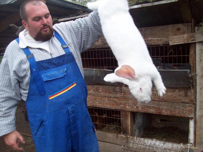 CSAK EGYBOL KELET VOLNA 076