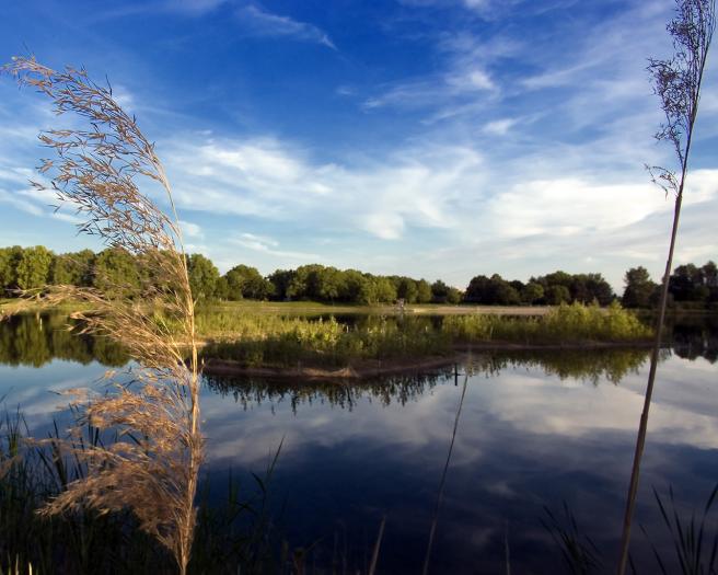 [From www.metacafe.com] 1034961.5863537.1