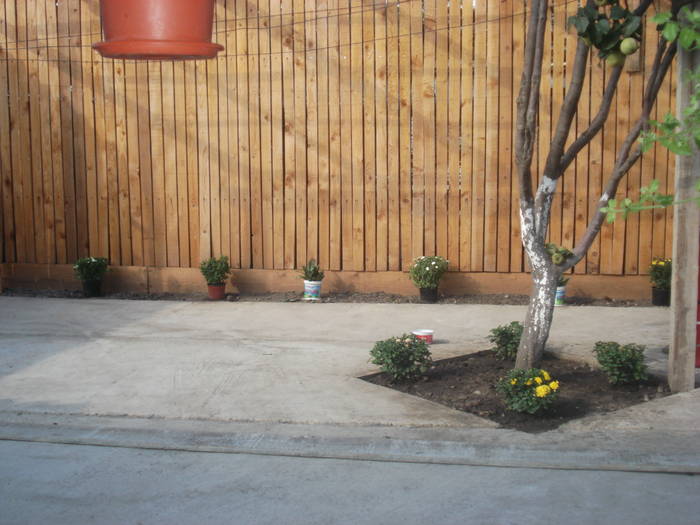 DSC06565