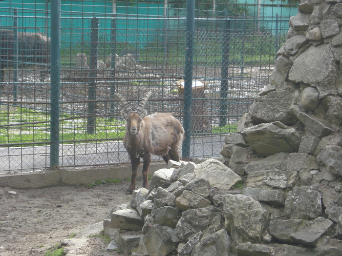 Picture 096