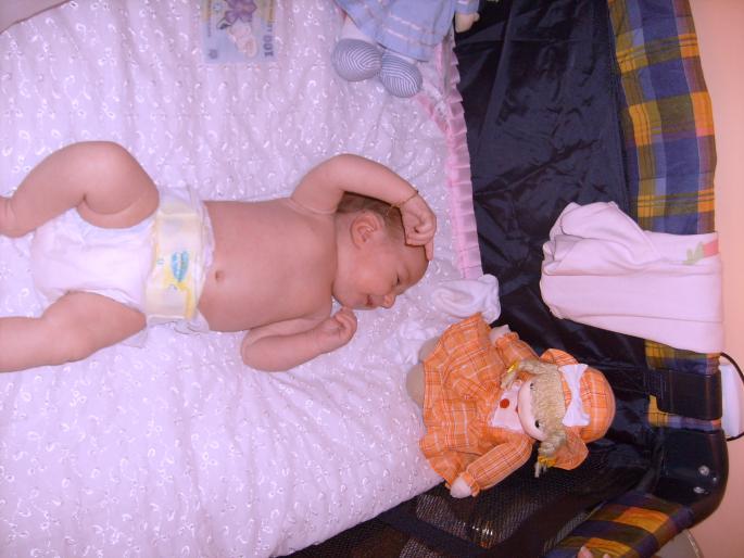 S7300465 - puiul meu