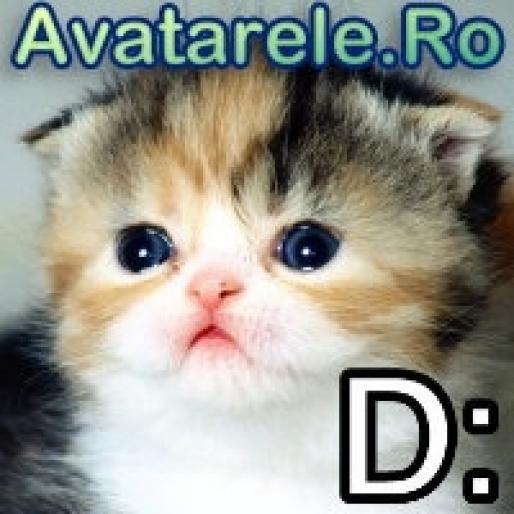 www_avatarele_ro__1203166088_317177 - avatare animale