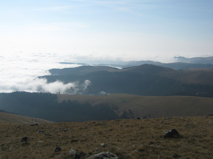 VARFUL URSU 25.10.2009 211