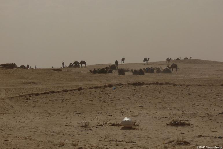 Tunisia_354 - Tunisia