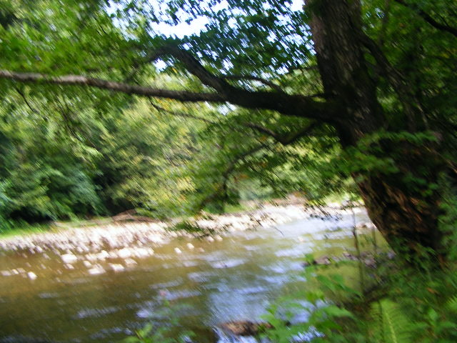 DSCF5024