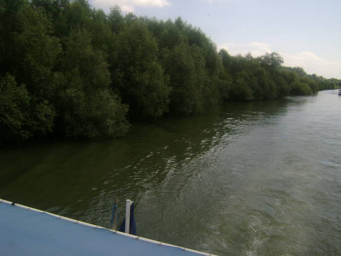 excursie delta dunarii 5062009 087 - EXCURSIE  in DELTA