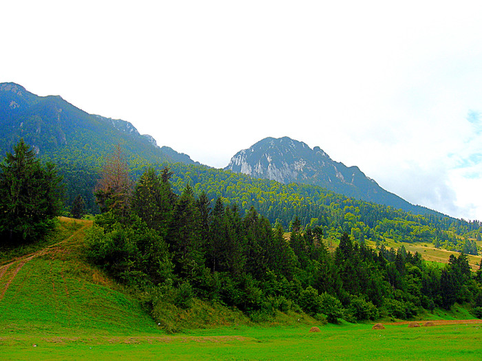  - COLTUL CHILIILOR - MUNTII PIATRA CRAIULUI