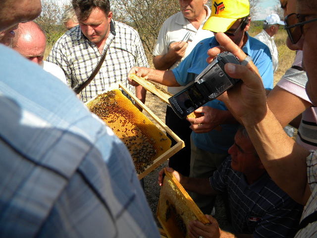 DSCN1800 - apicultorul francez