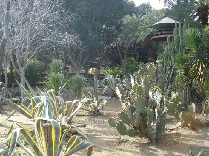 Picture 373; Nicosia de Sud
