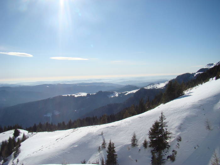 DSC01132 - Bucegi - Valea Izvorul Dorului-Padina