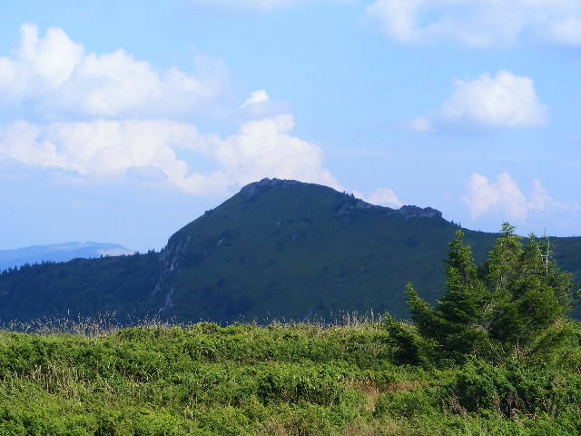 DSCF4458 - 2 august 2009 Traseu Suior Secatura Creasta Cocosului Gutaiul Doamnei  Vf Gutai