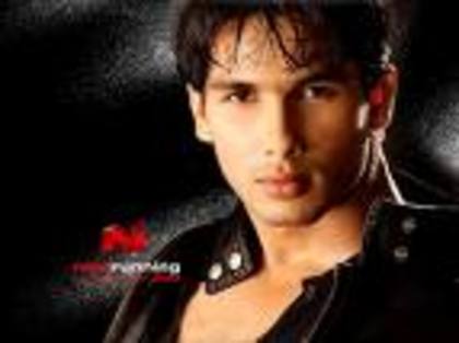 shahid kapoor - actori indieni