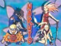 Naruto-Team24_1213108317 - Naruto