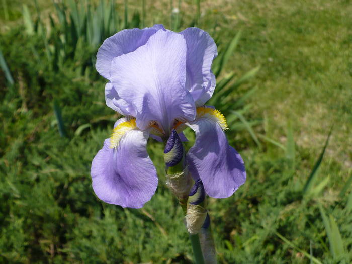 P1110945