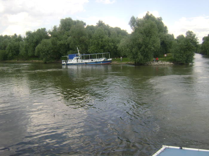 excursie delta dunarii 5062009 141 - EXCURSIE  in DELTA