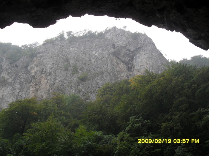 SDC10442 - valea jiului