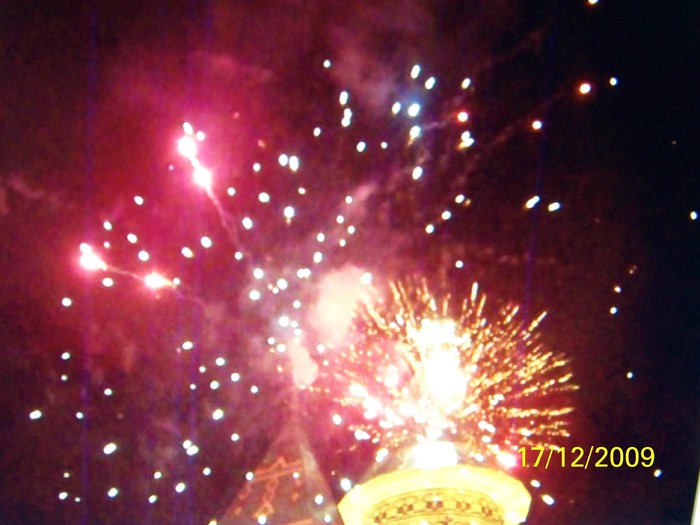 100_7087 - 1 Decembrie Timisoara