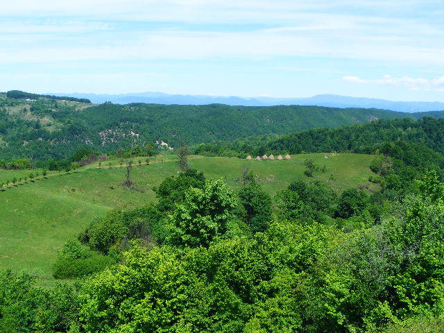 DSCF0545