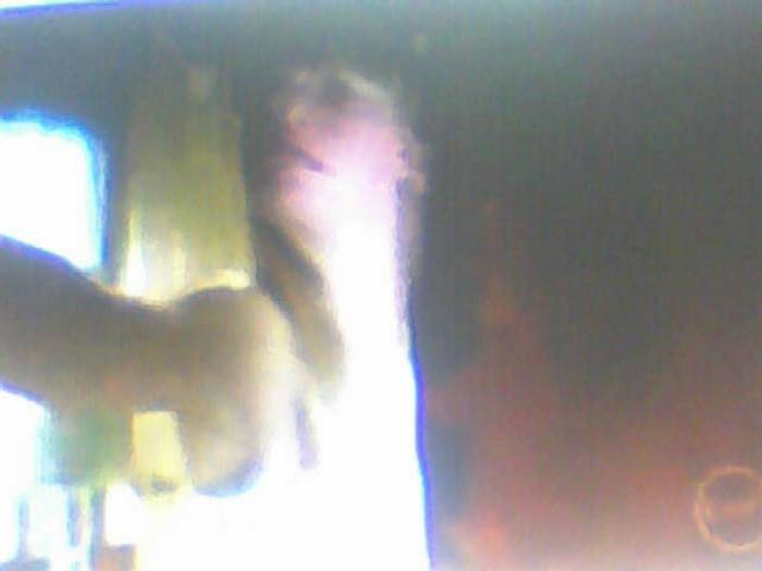 snapshot-404 - Sora lui Cleo Kim