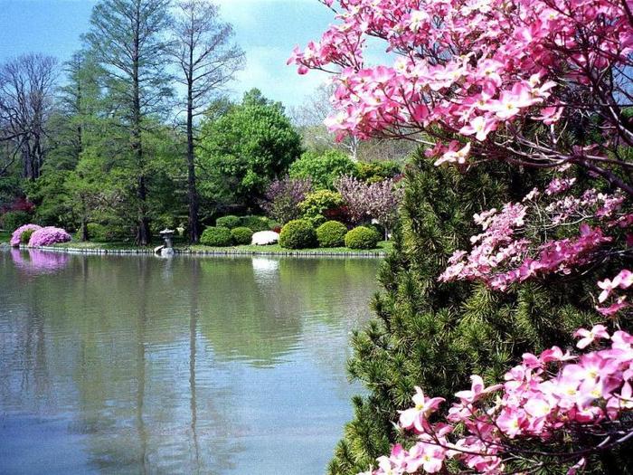 printemps_0012[1]