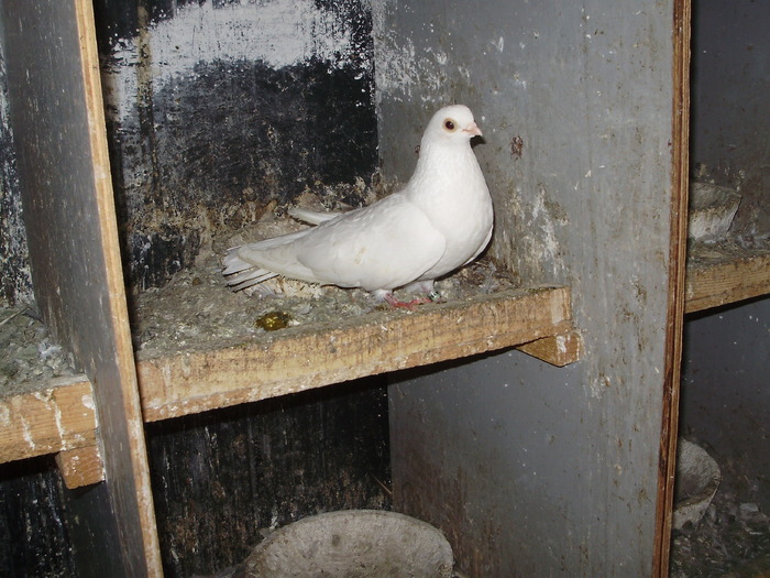 P9061471