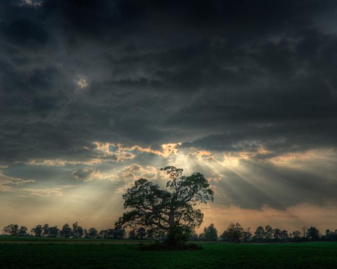 [From www.metacafe.com] 1034961.5863497.1