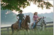 DIUVKENCNNUWVQQCXRN - Miley movie