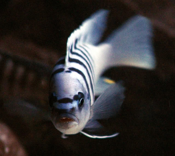 DSC09440_edited