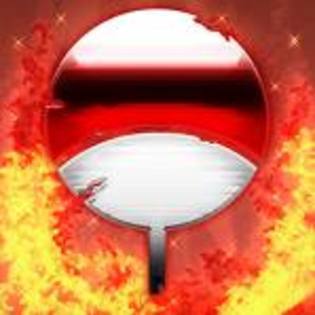 NYMWLUCJYDDNDXQPKUP[1]