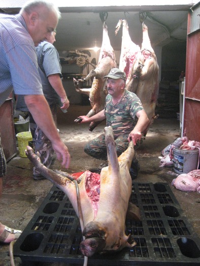 IMG_4207 - 2009-2010 Stolna Cluj