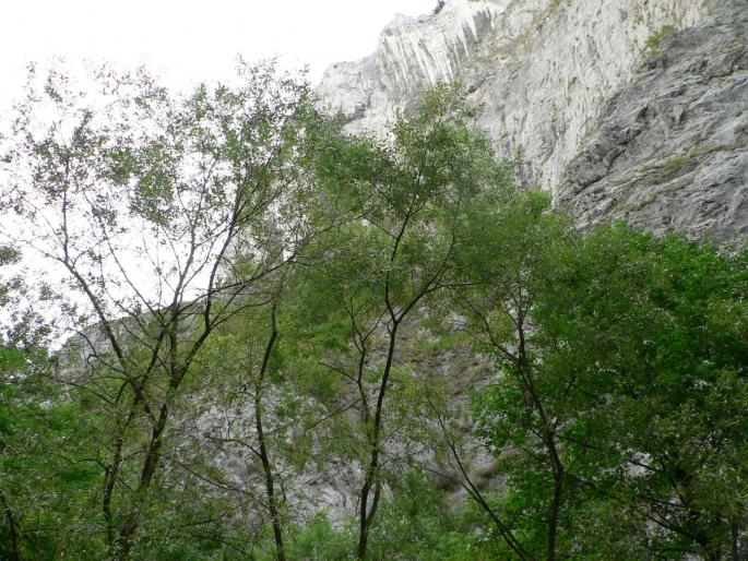 P100084