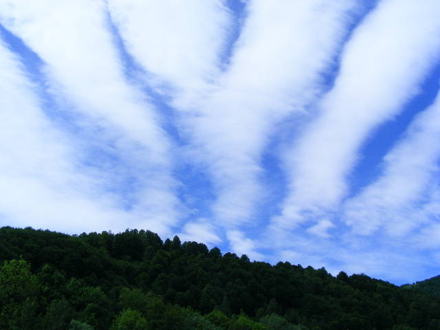 DSCF1422