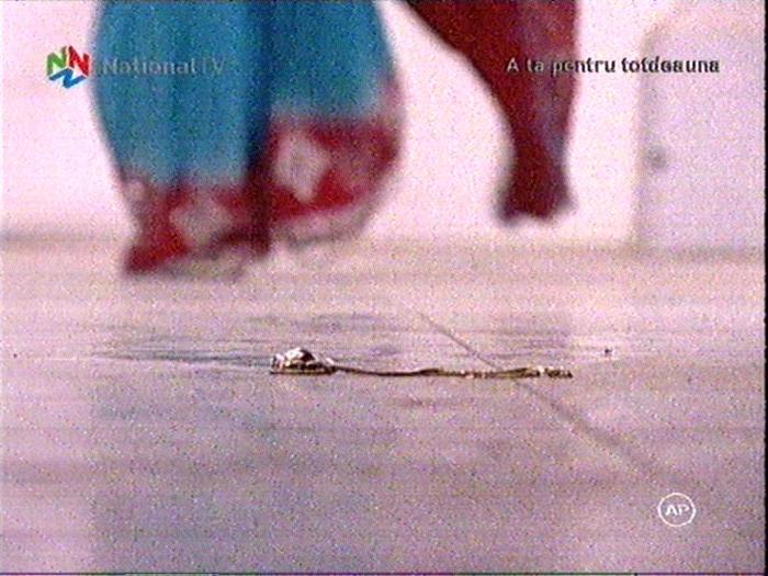 Image1117-0915(nationaltv)[1]