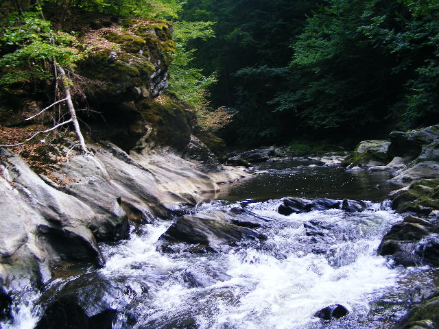 DSCF5167