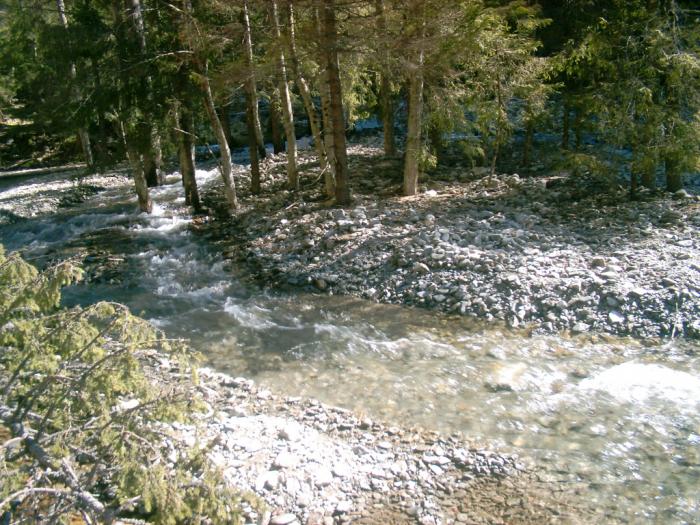 04130133 - Iezer-Papusa